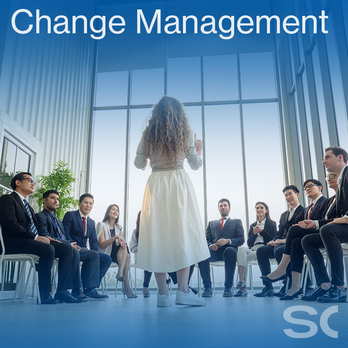 Stahlschmidt Consulting Experte für Change Management