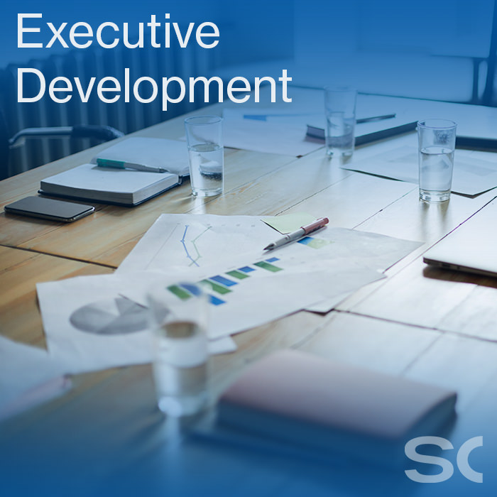 Stahlschmidt Consulting Experte für Executive Development